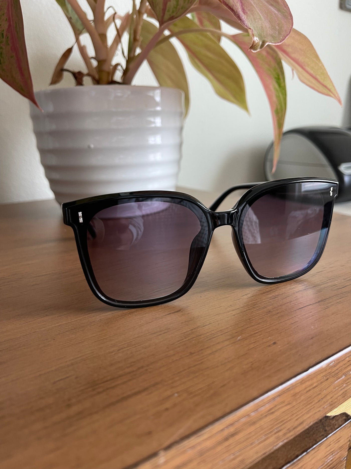 Ava Sunglasses | Black