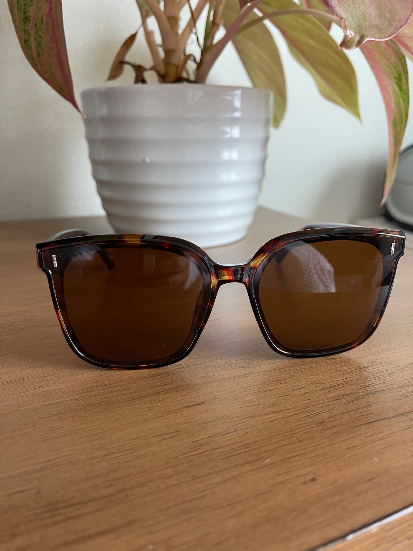 Ava Sunglasses | Brown