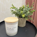 Soy Candle 11 oz | Fresh Apple Blossom