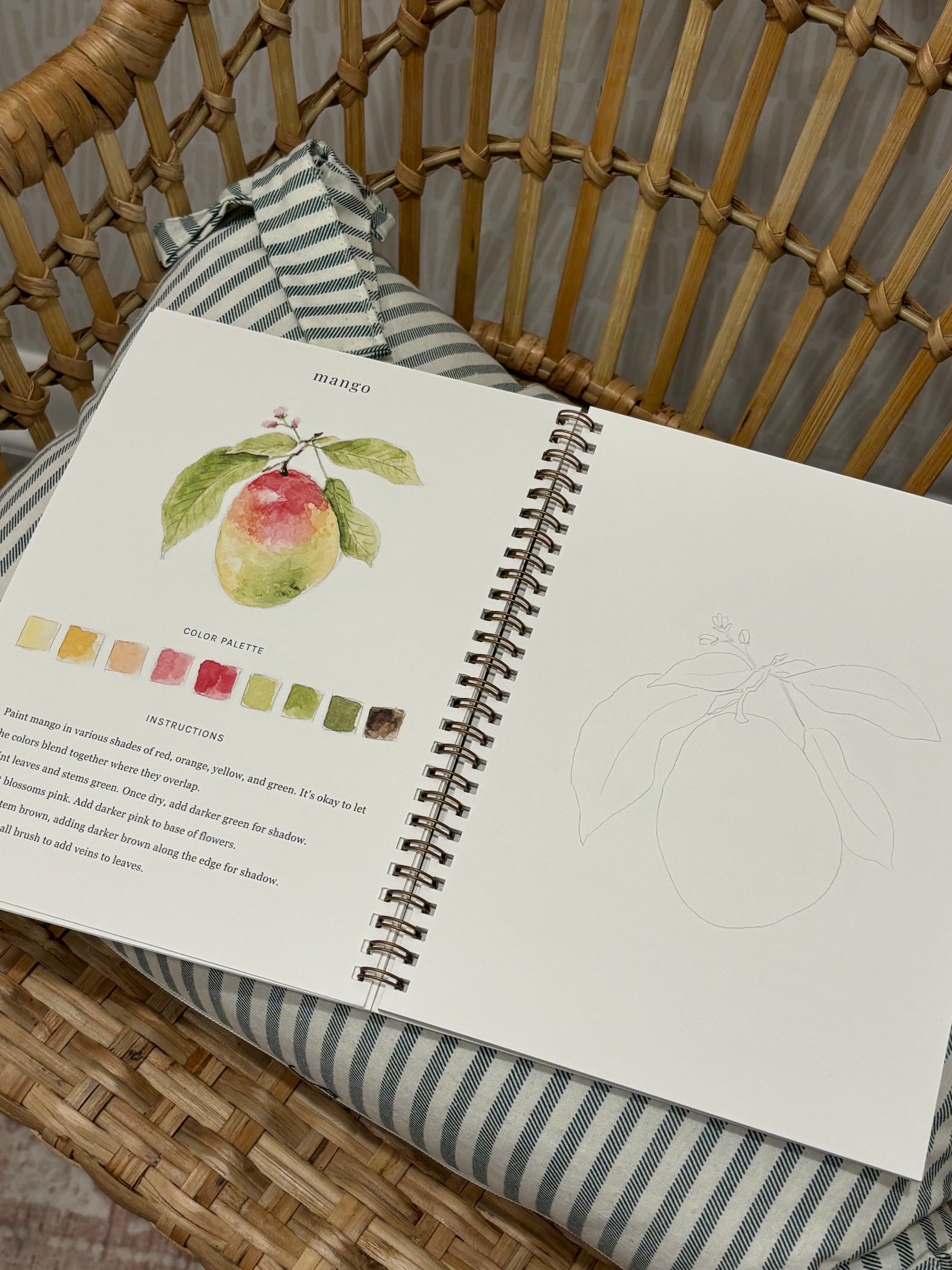 Watercolor Workbook | Fruit