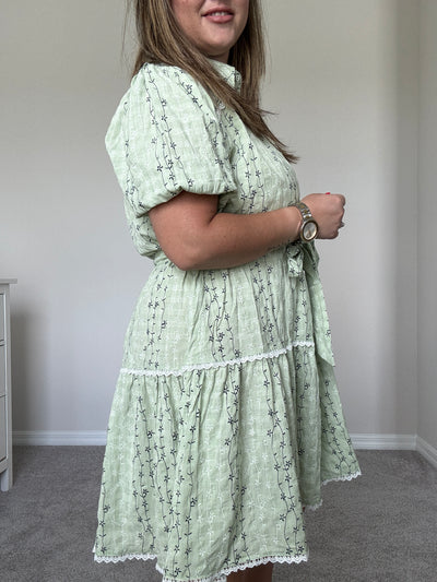 Celine Embroidered Shirt Dress