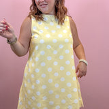Stella Polka Dot Shift Dress