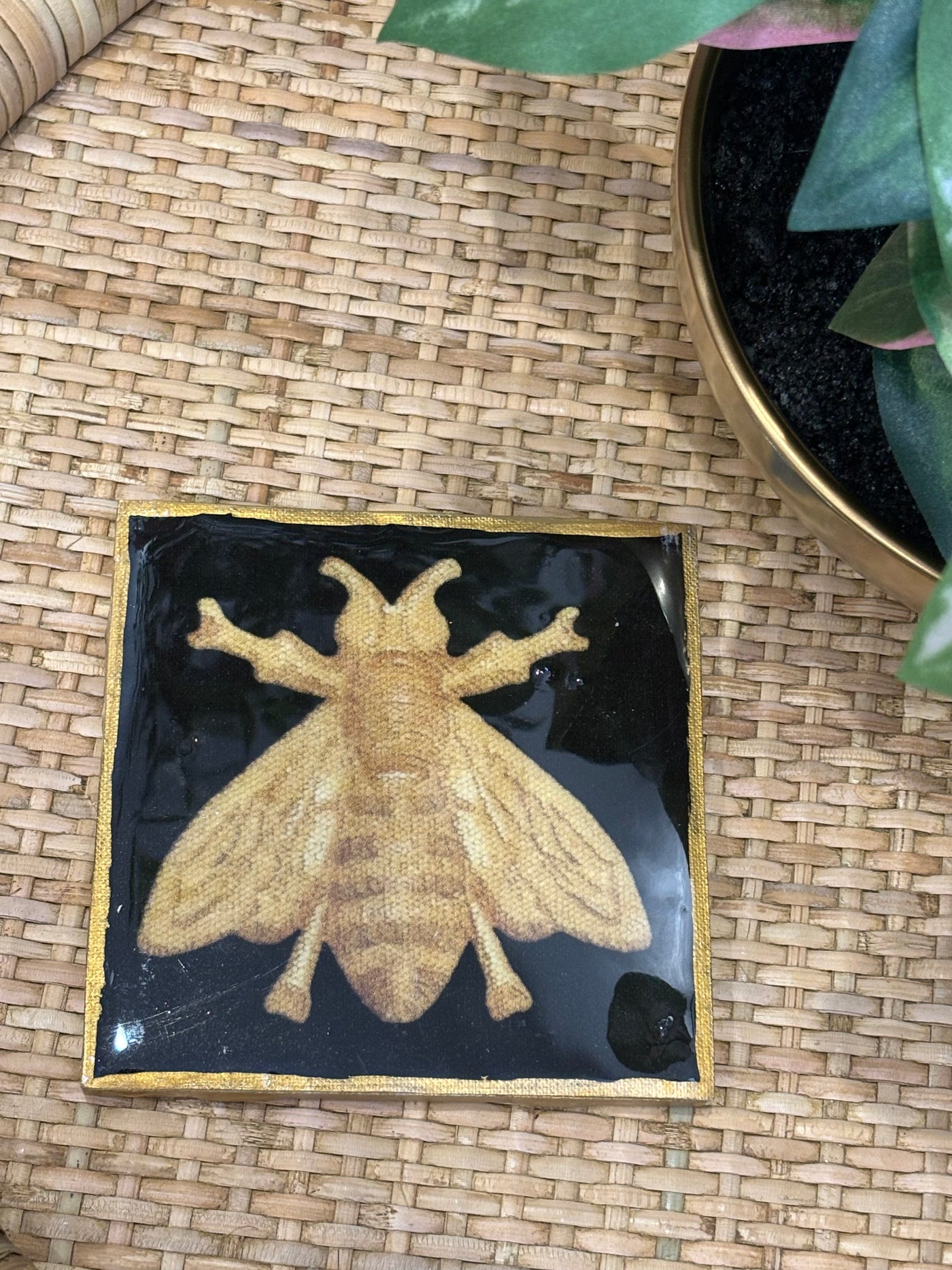 Gold Coaster | Bee