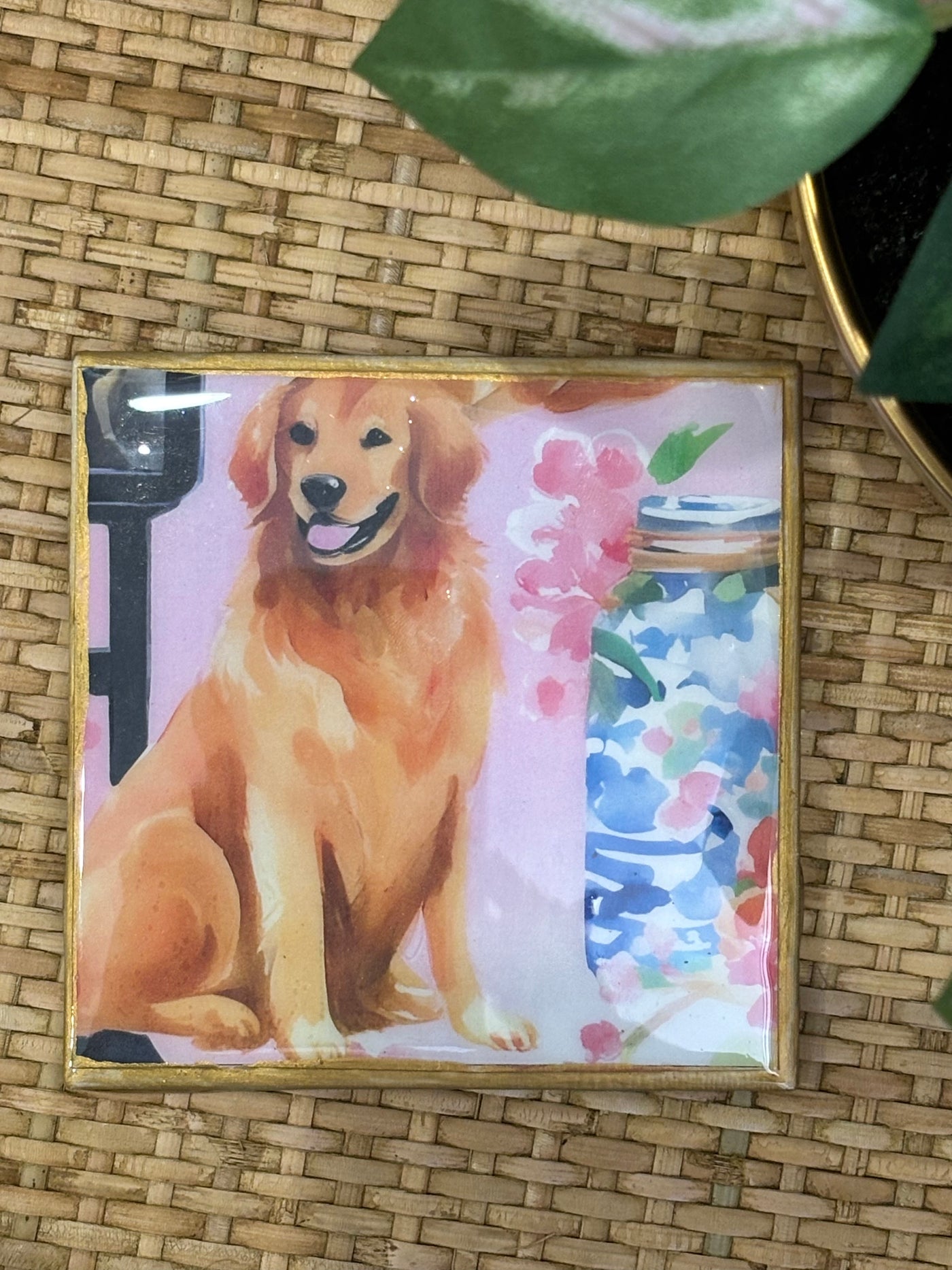 Gold Coaster | Golden Retriever