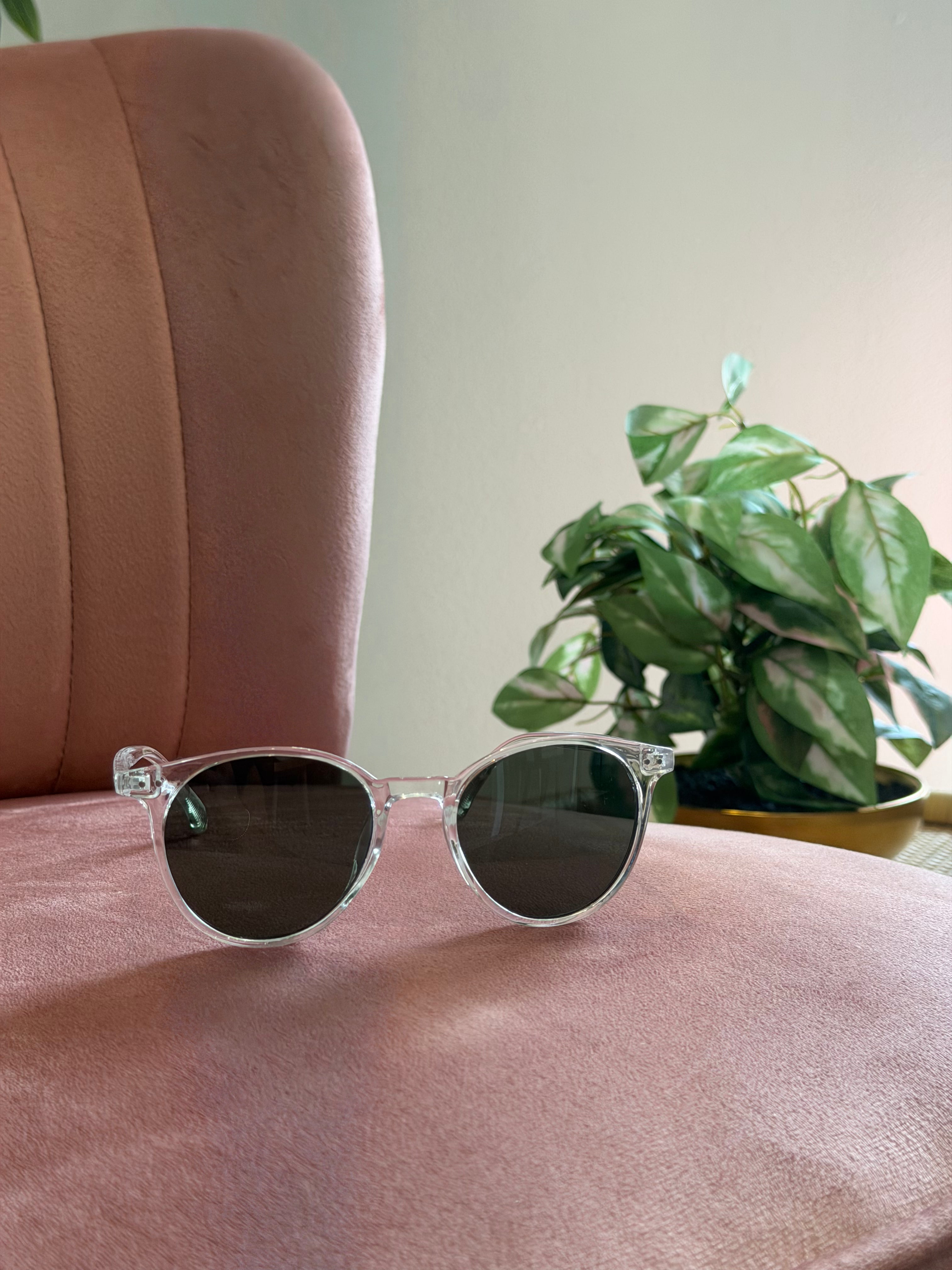 Round Frame Sunglasses | Clear with Black Lenses
