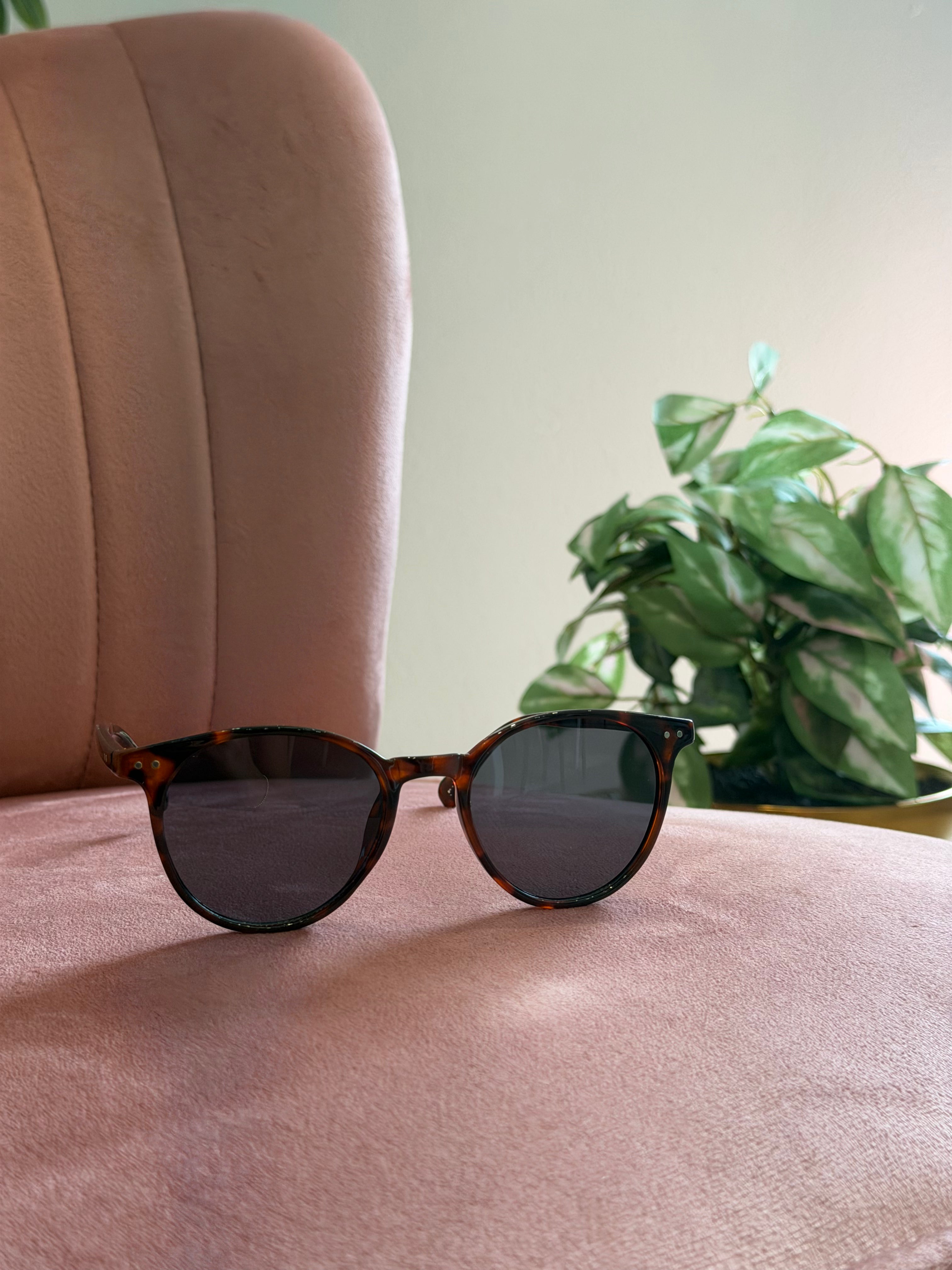 Round Frame Sunglasses | Tortoise Brown