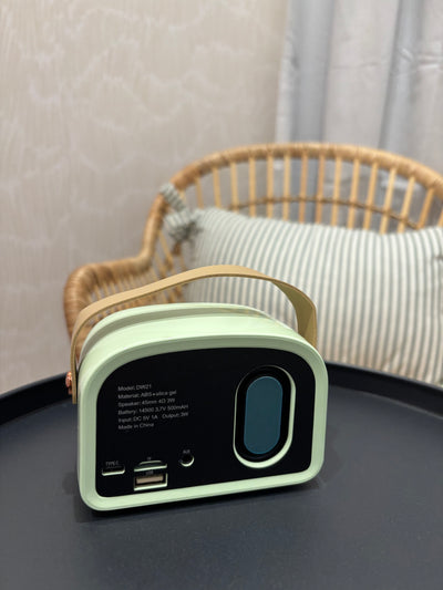 Retro Bluetooth Speaker | Mint