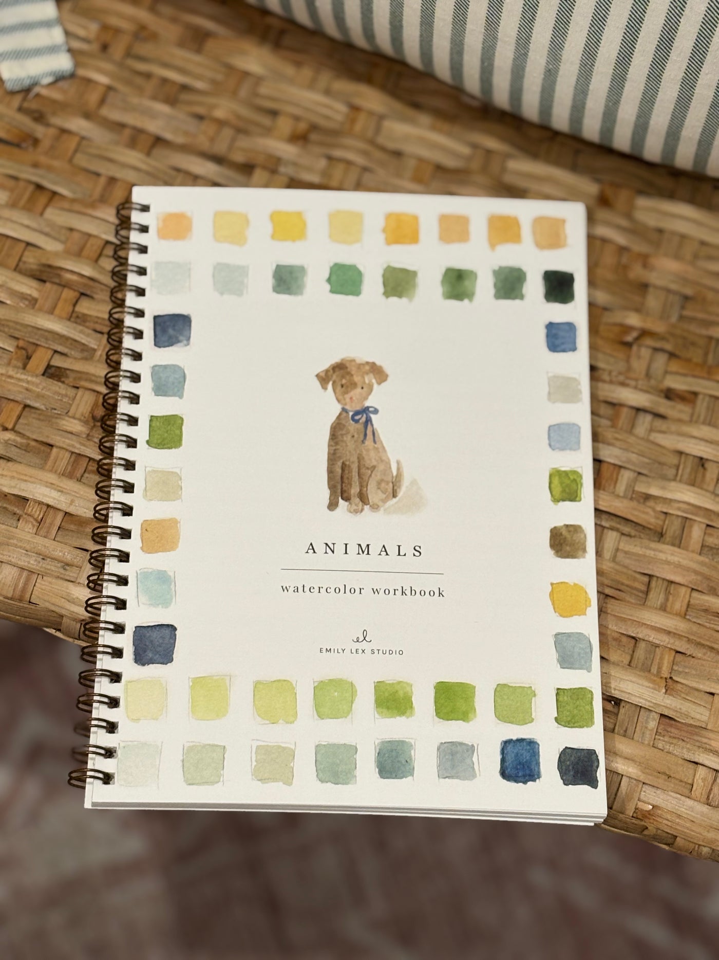 Watercolor Workbook | Animals