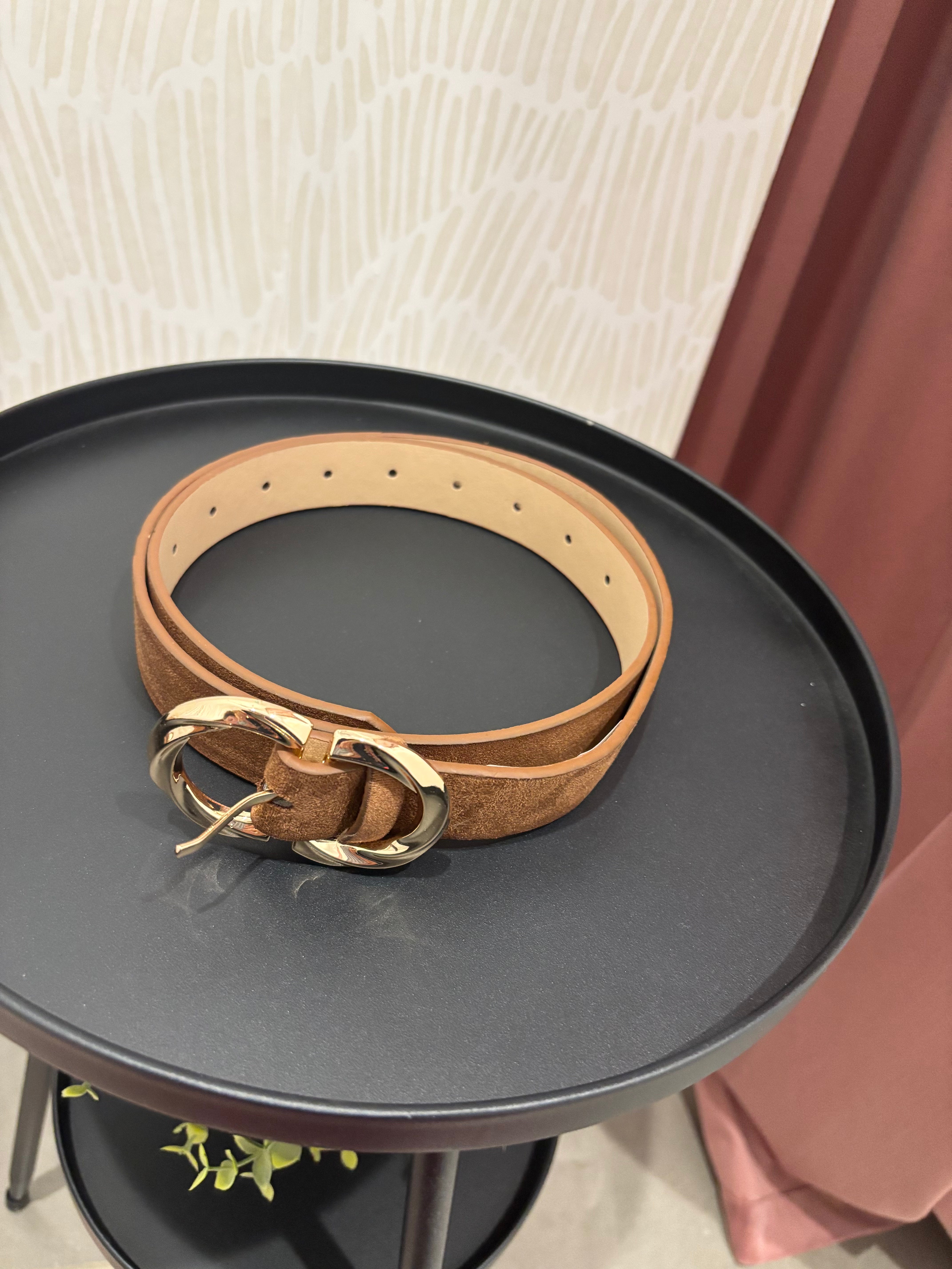 Gold Buckle Suede Belt | Brown