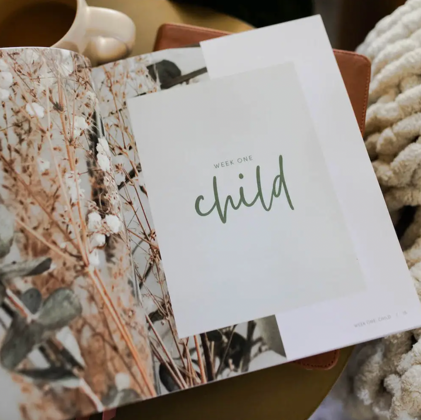 Worthy Bible Study | Embracing Your Identity in Christ