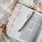 Bible Tabs | Blush