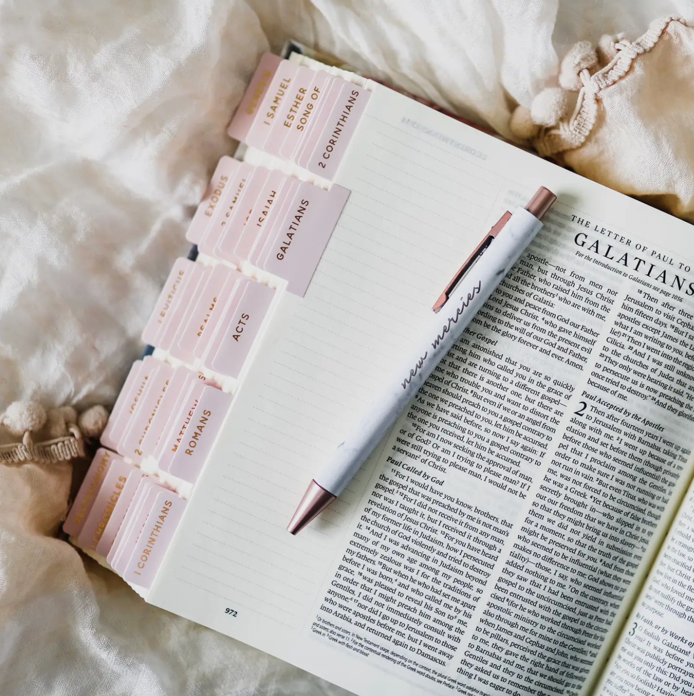Bible Tabs | Blush