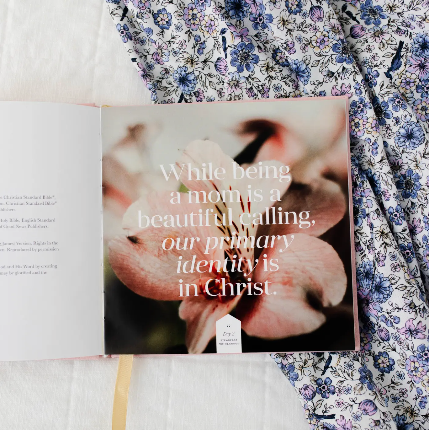 Steadfast Motherhood Devotional
