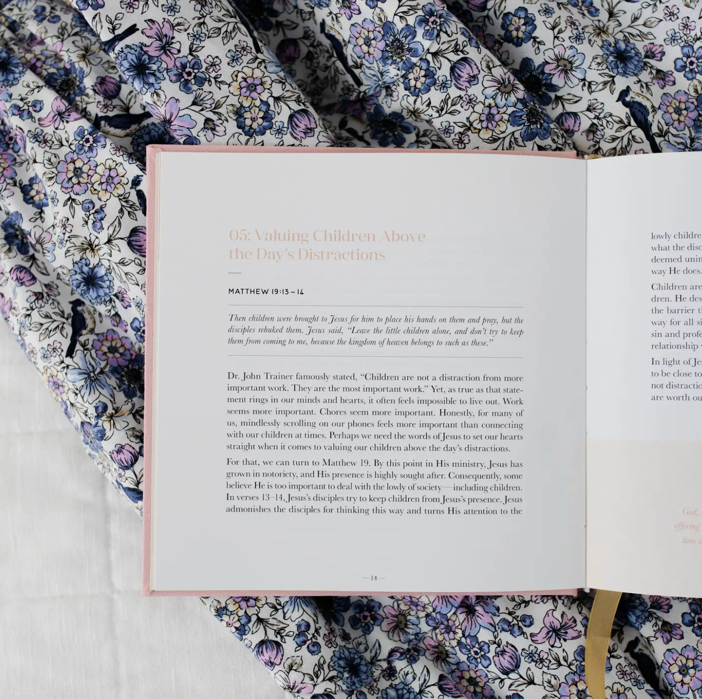 Steadfast Motherhood Devotional