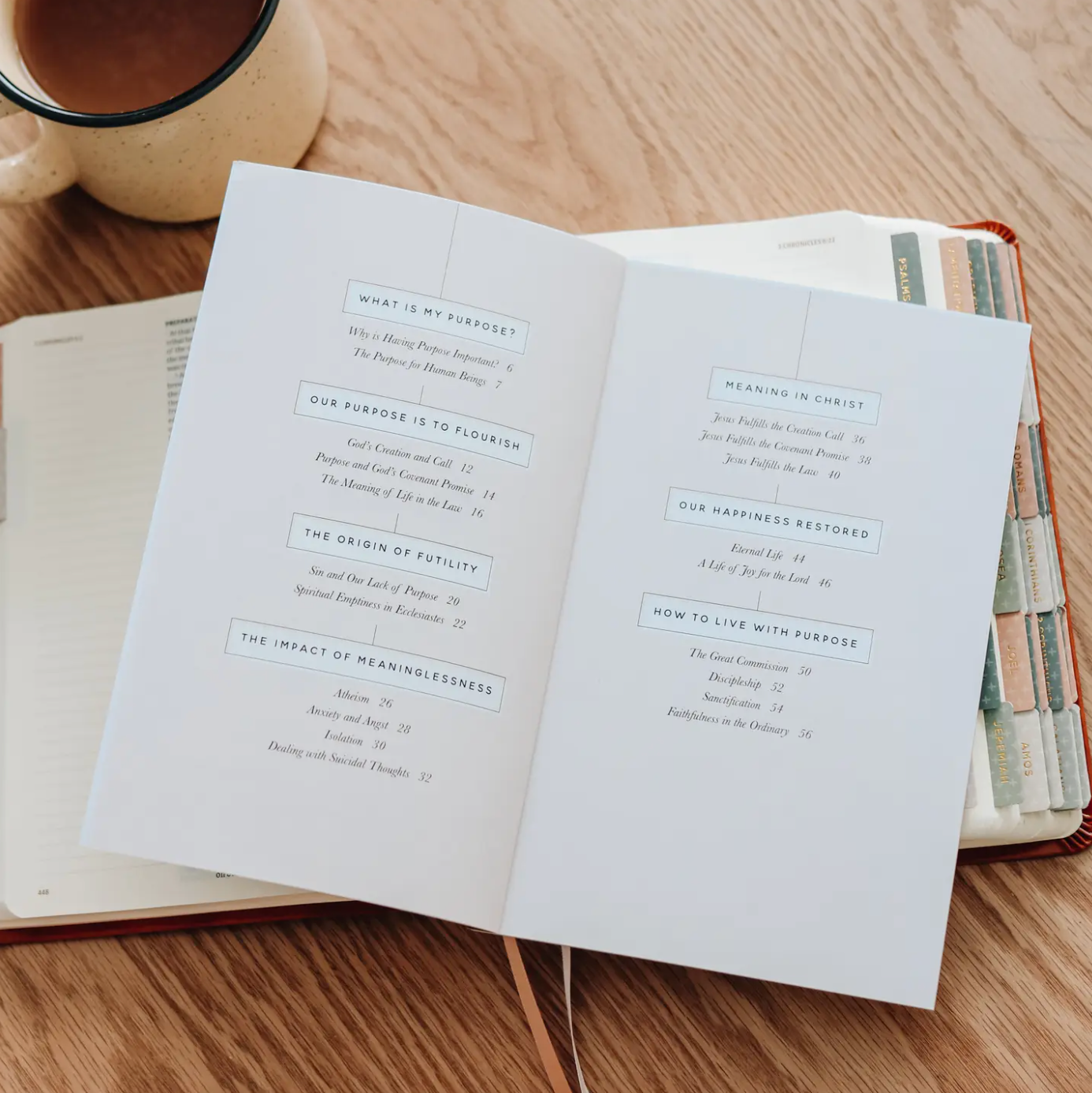 Faith Questions Booklet | Purpose