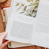 Faith Questions Booklet | Purpose