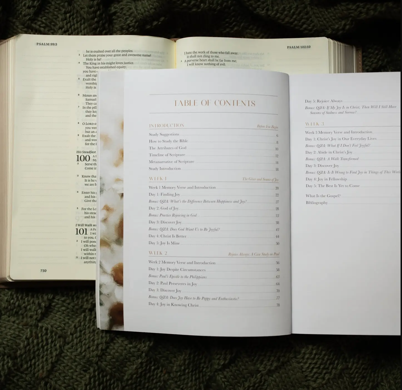 A Joy That Endures Bible Study