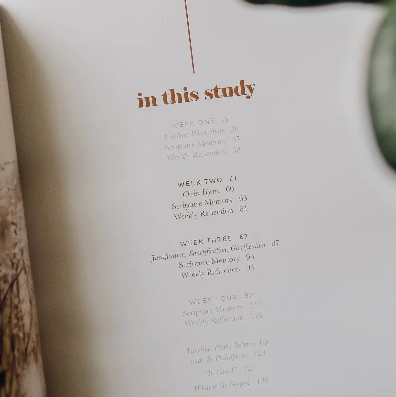 Fighting with Faith Bible Study