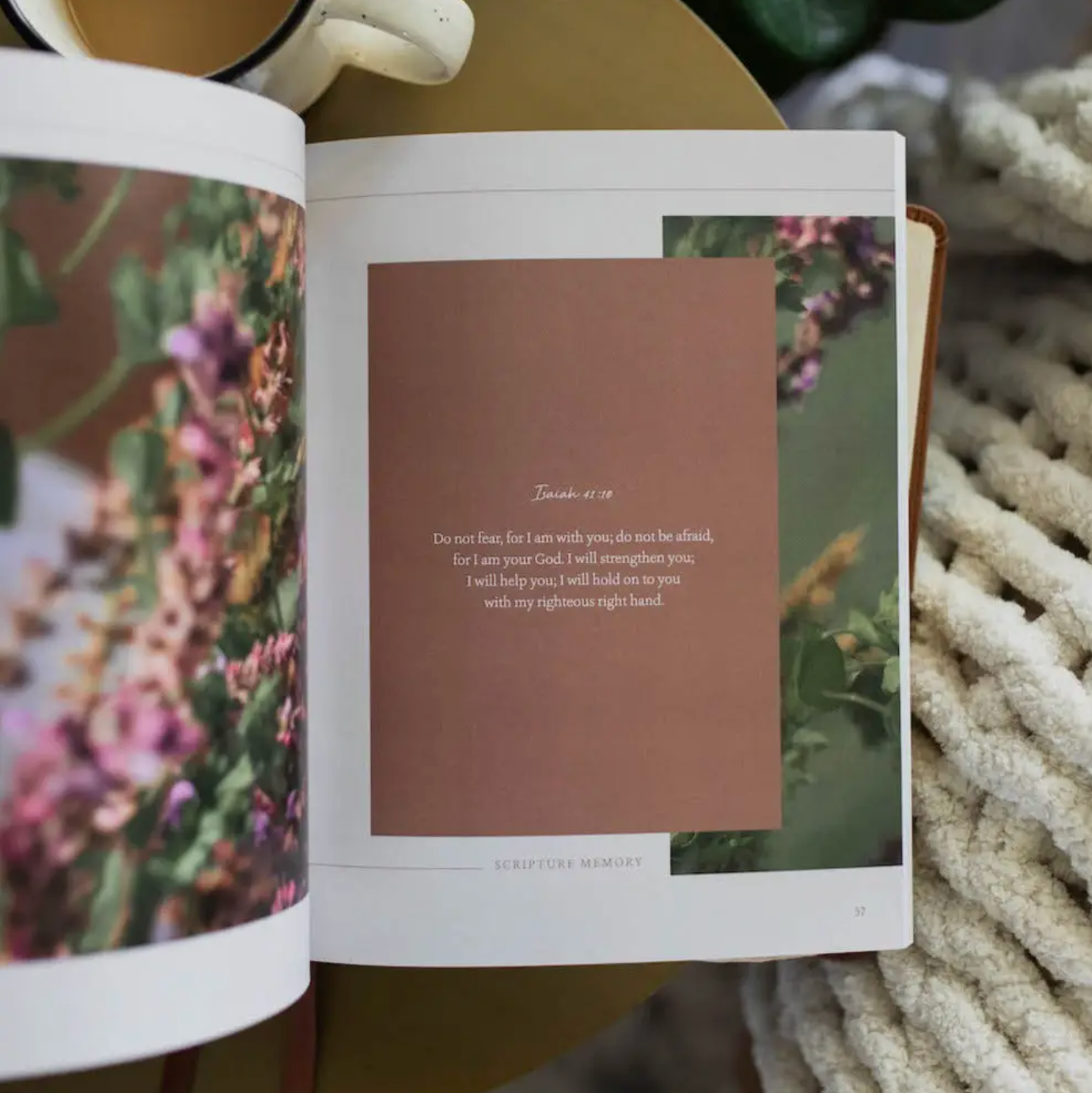 Peace For the Anxious Heart Bible Study
