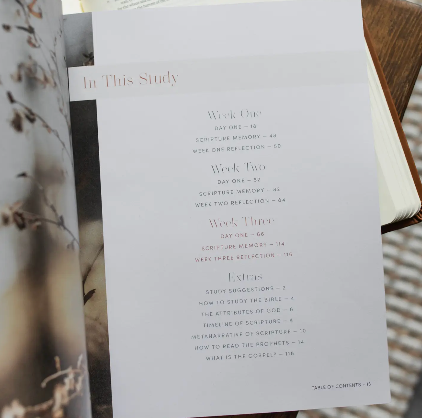 Restored Bible Study