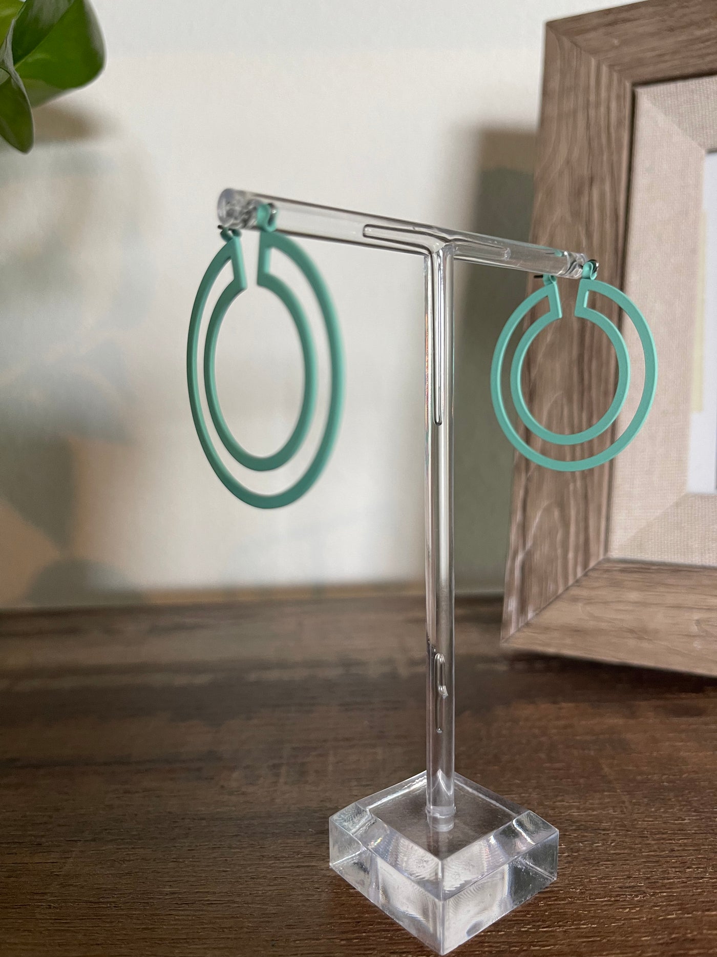 Colorful Hoops | Mint